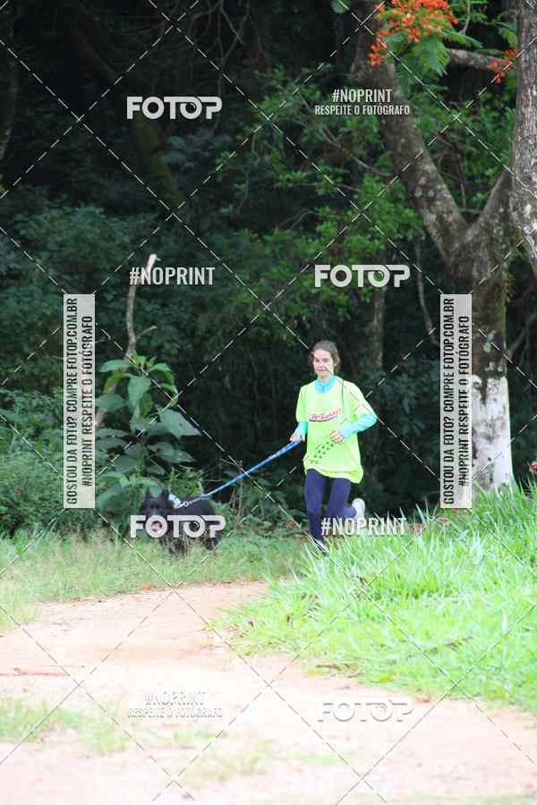 Buy your photos of the event2 PET RUNNER 2019 on Fotop