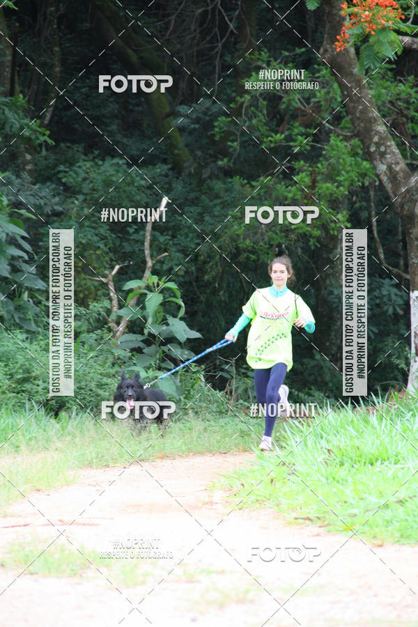 Buy your photos of the event2 PET RUNNER 2019 on Fotop