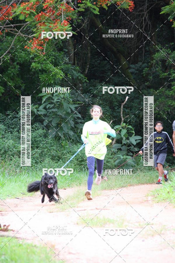 Buy your photos of the event2 PET RUNNER 2019 on Fotop