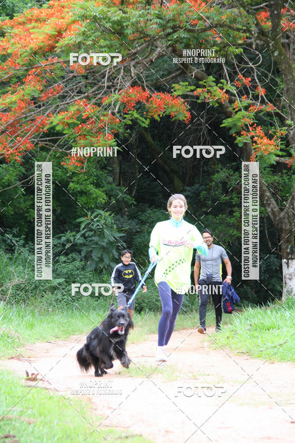 Buy your photos of the event2 PET RUNNER 2019 on Fotop