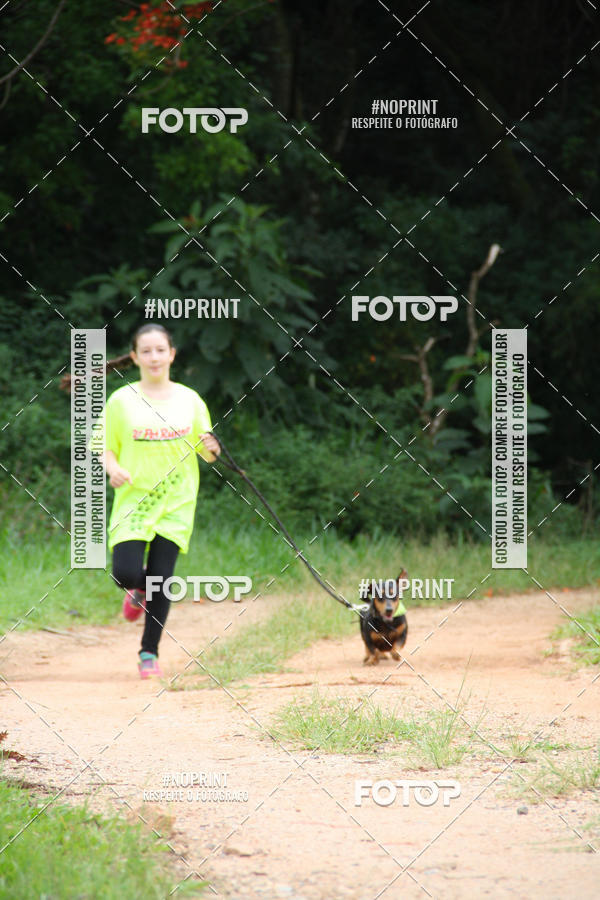 Buy your photos of the event2 PET RUNNER 2019 on Fotop