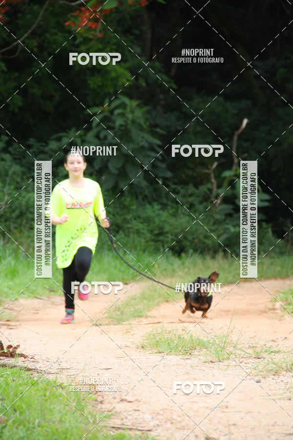 Buy your photos of the event2 PET RUNNER 2019 on Fotop