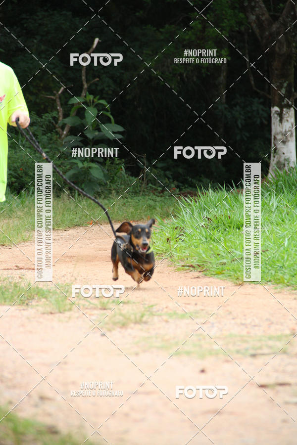 Buy your photos of the event2 PET RUNNER 2019 on Fotop