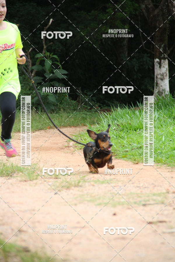 Buy your photos of the event2 PET RUNNER 2019 on Fotop