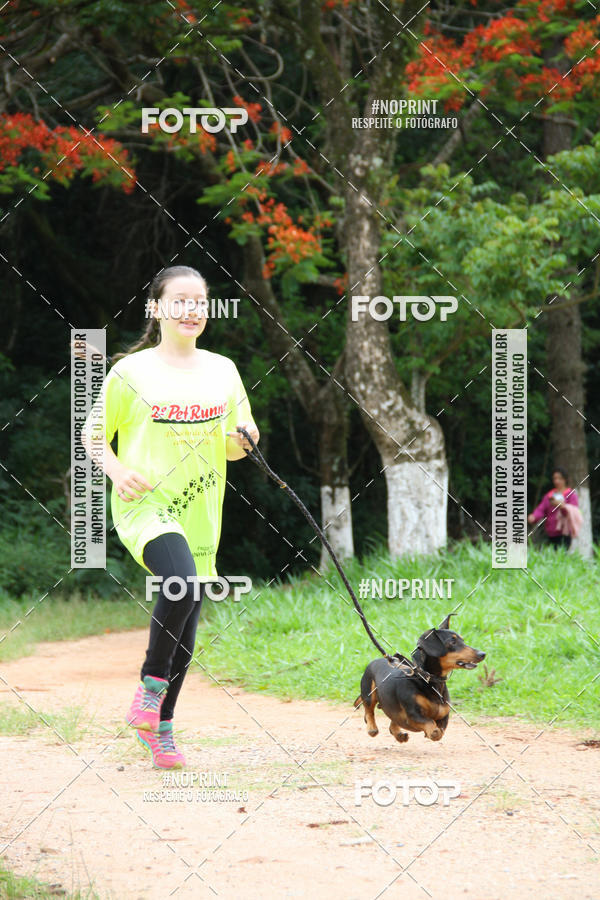 Buy your photos of the event2 PET RUNNER 2019 on Fotop