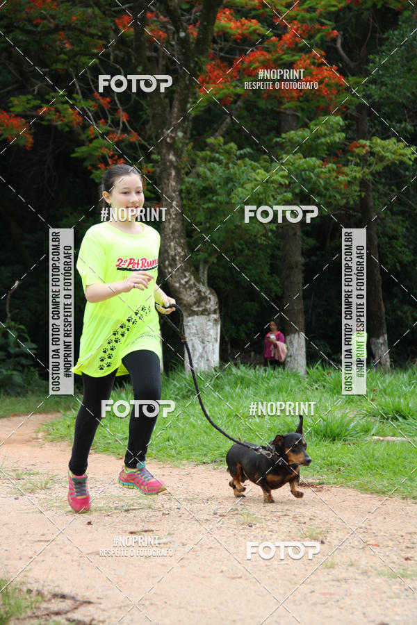 Buy your photos of the event2 PET RUNNER 2019 on Fotop