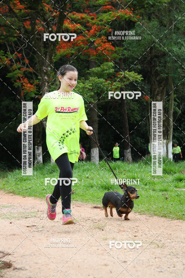 Buy your photos of the event2 PET RUNNER 2019 on Fotop