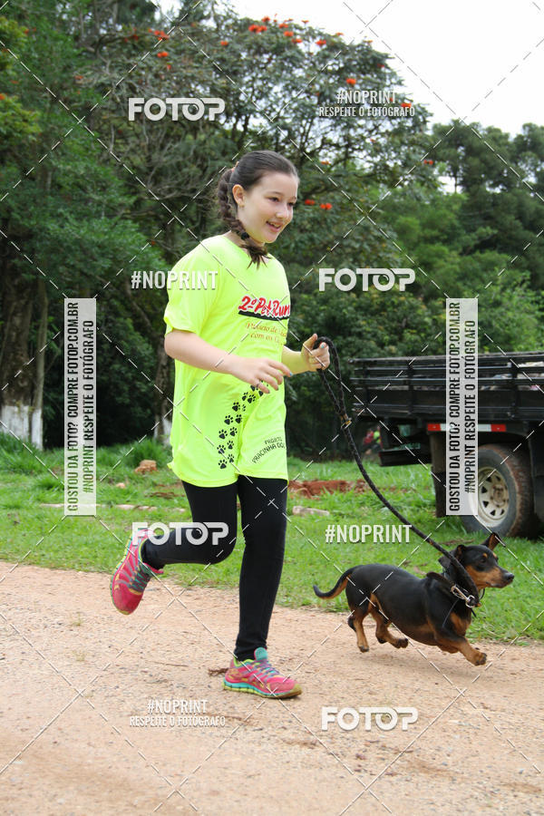 Buy your photos of the event2 PET RUNNER 2019 on Fotop