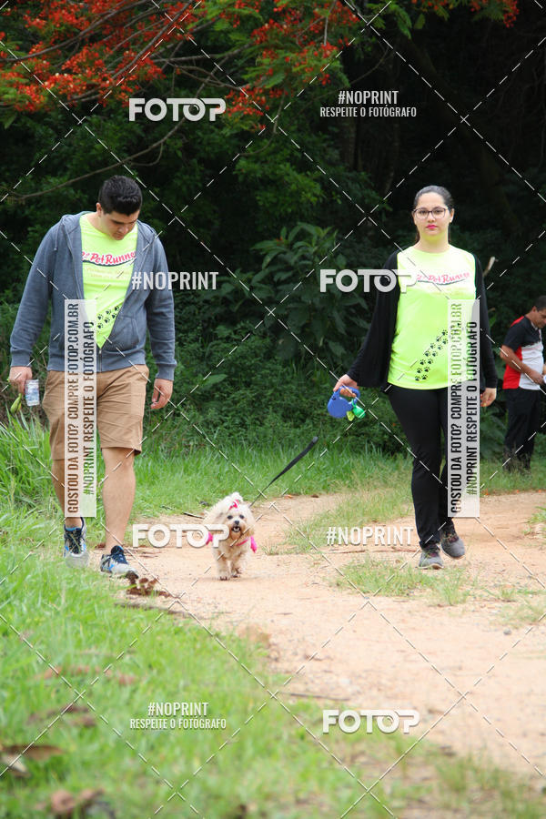 Buy your photos of the event2 PET RUNNER 2019 on Fotop