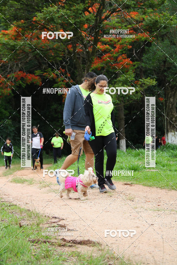 Buy your photos of the event2 PET RUNNER 2019 on Fotop