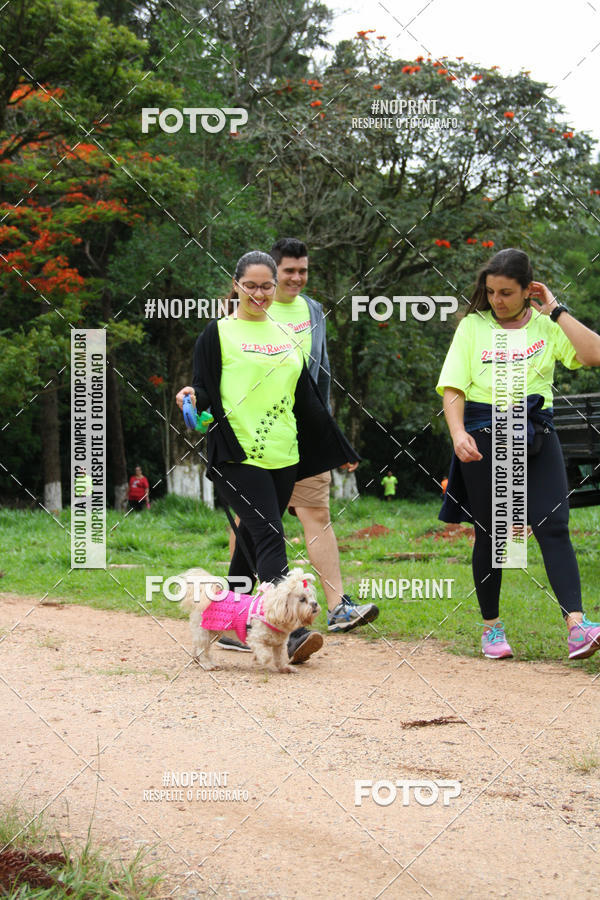Buy your photos of the event2 PET RUNNER 2019 on Fotop