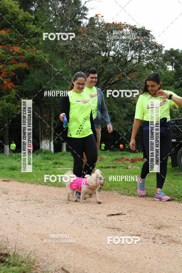 Buy your photos of the event2 PET RUNNER 2019 on Fotop