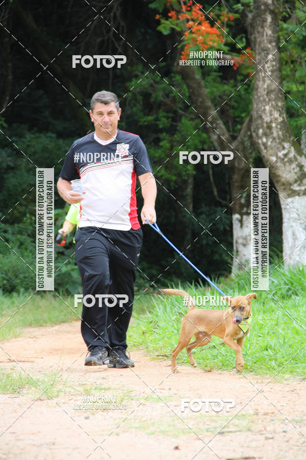 Buy your photos of the event2 PET RUNNER 2019 on Fotop