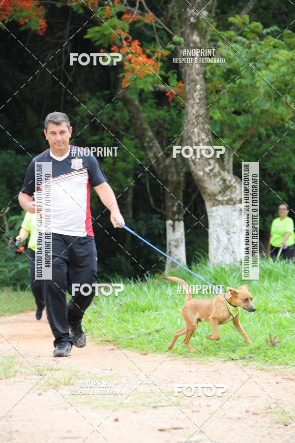 Buy your photos of the event2 PET RUNNER 2019 on Fotop