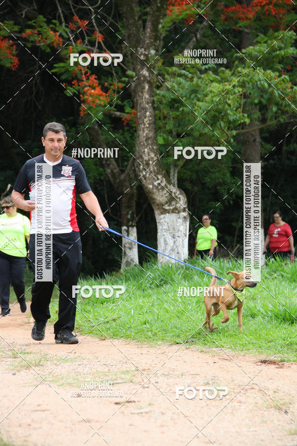 Buy your photos of the event2 PET RUNNER 2019 on Fotop