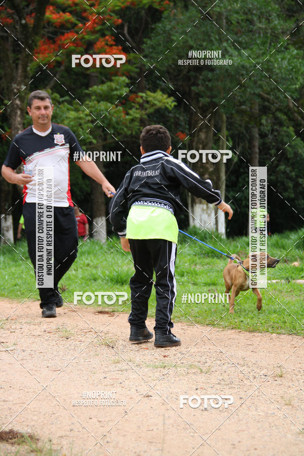 Buy your photos of the event2 PET RUNNER 2019 on Fotop