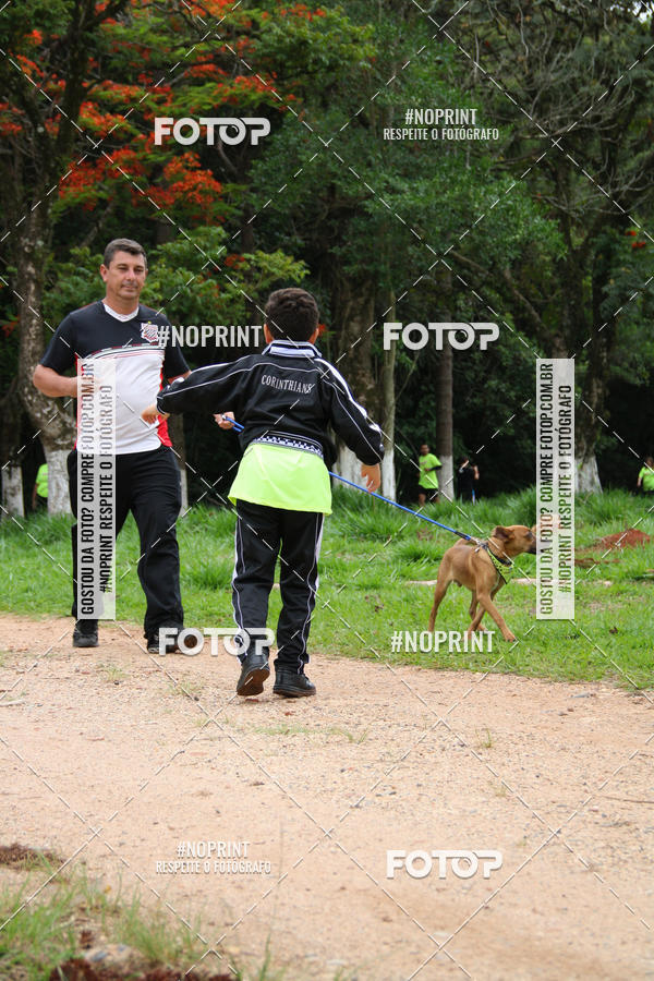 Buy your photos of the event2 PET RUNNER 2019 on Fotop