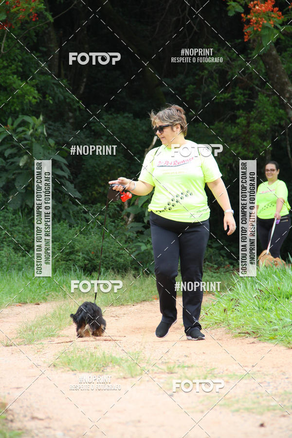 Buy your photos of the event2 PET RUNNER 2019 on Fotop