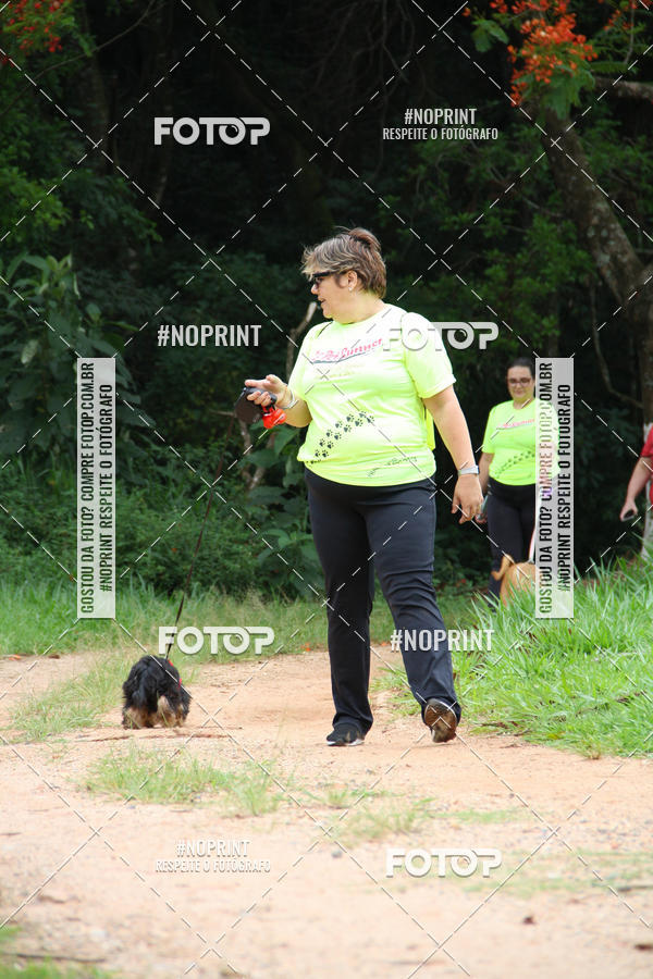 Buy your photos of the event2 PET RUNNER 2019 on Fotop