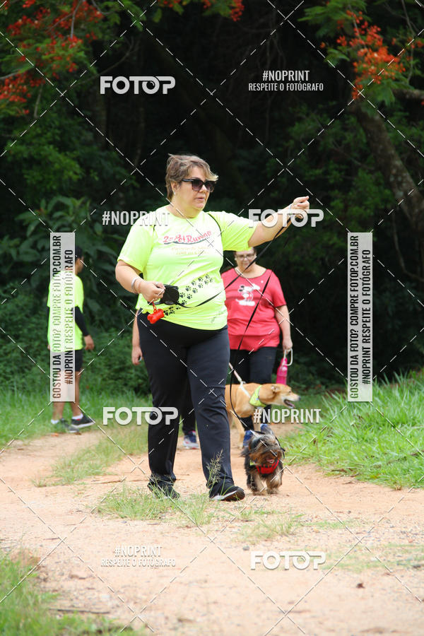 Buy your photos of the event2 PET RUNNER 2019 on Fotop