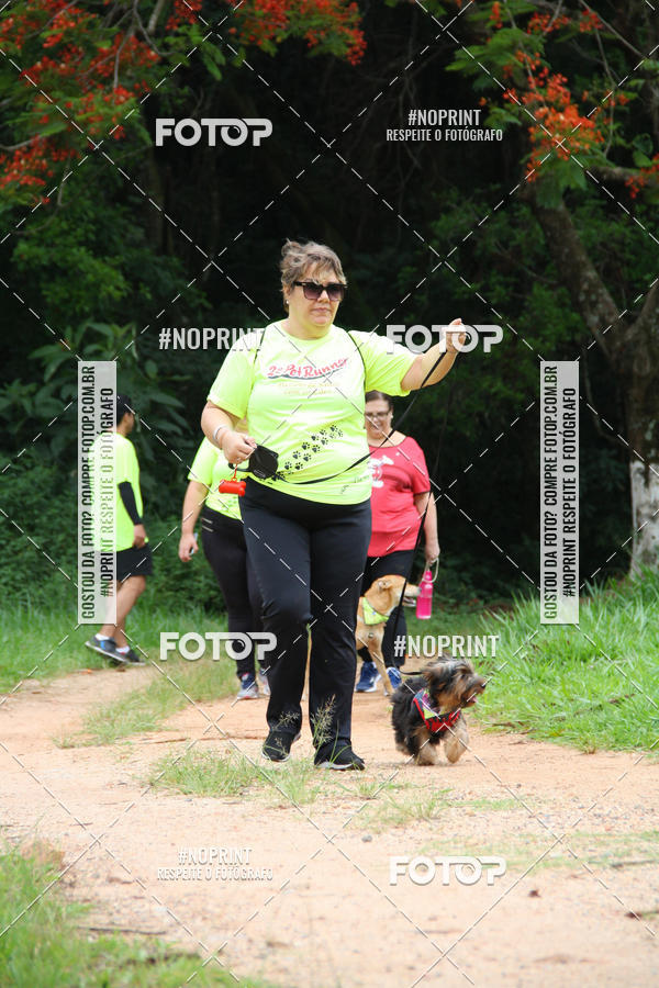 Buy your photos of the event2 PET RUNNER 2019 on Fotop