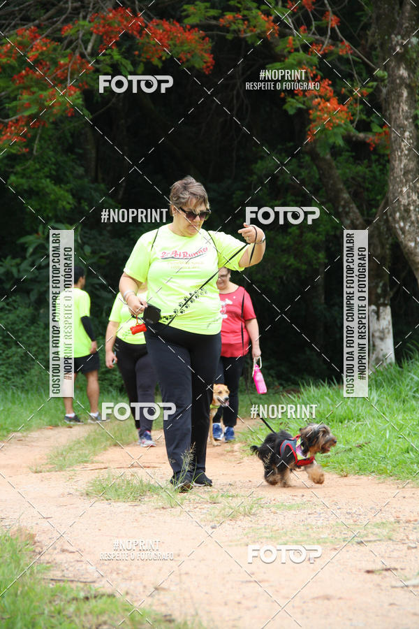 Buy your photos of the event2 PET RUNNER 2019 on Fotop