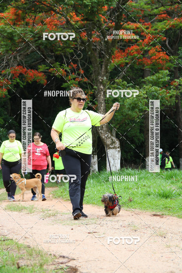 Buy your photos of the event2 PET RUNNER 2019 on Fotop
