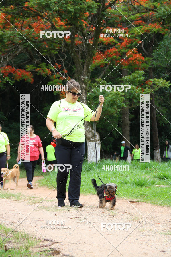 Buy your photos of the event2 PET RUNNER 2019 on Fotop