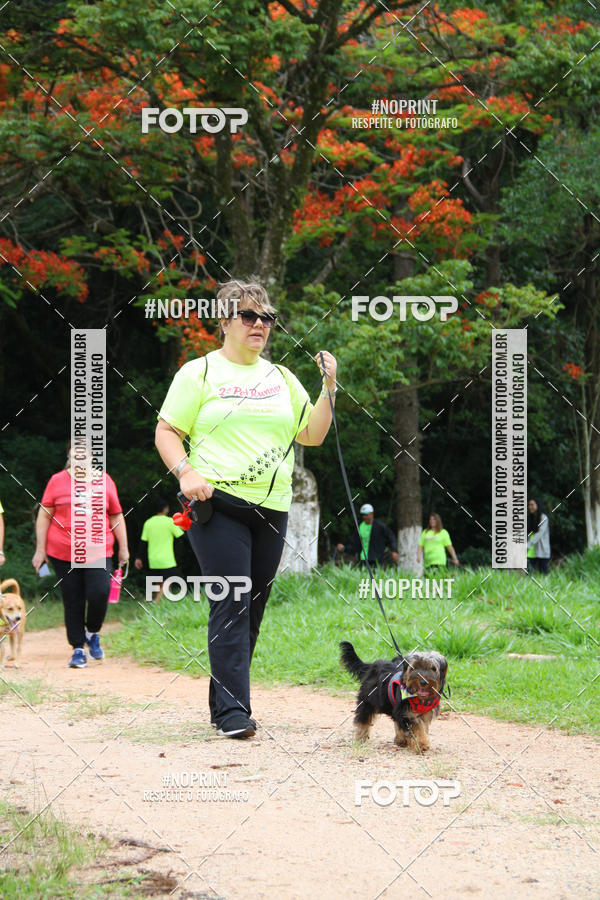 Buy your photos of the event2 PET RUNNER 2019 on Fotop