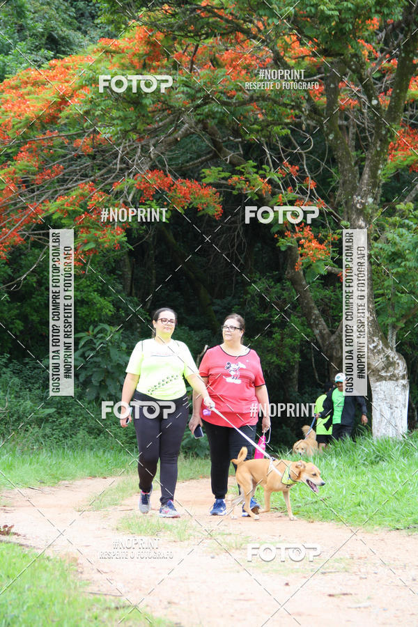 Buy your photos of the event2 PET RUNNER 2019 on Fotop