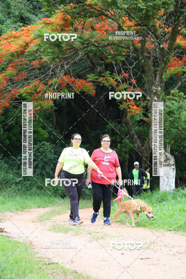 Buy your photos of the event2 PET RUNNER 2019 on Fotop