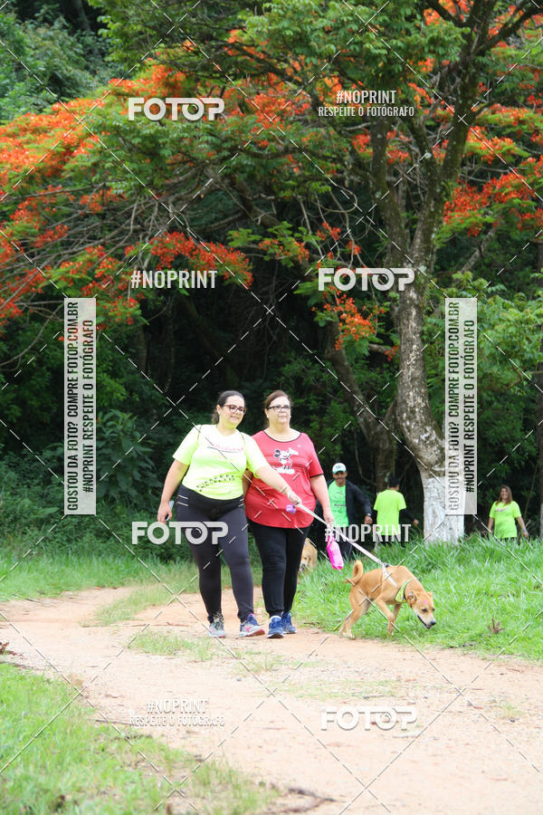 Buy your photos of the event2 PET RUNNER 2019 on Fotop