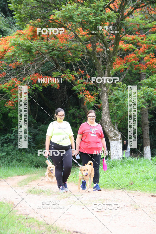 Buy your photos of the event2 PET RUNNER 2019 on Fotop