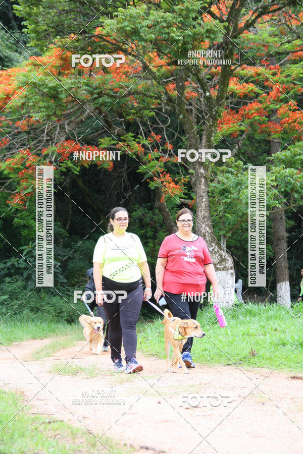 Buy your photos of the event2 PET RUNNER 2019 on Fotop