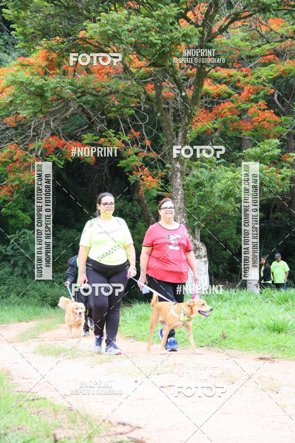 Buy your photos of the event2 PET RUNNER 2019 on Fotop