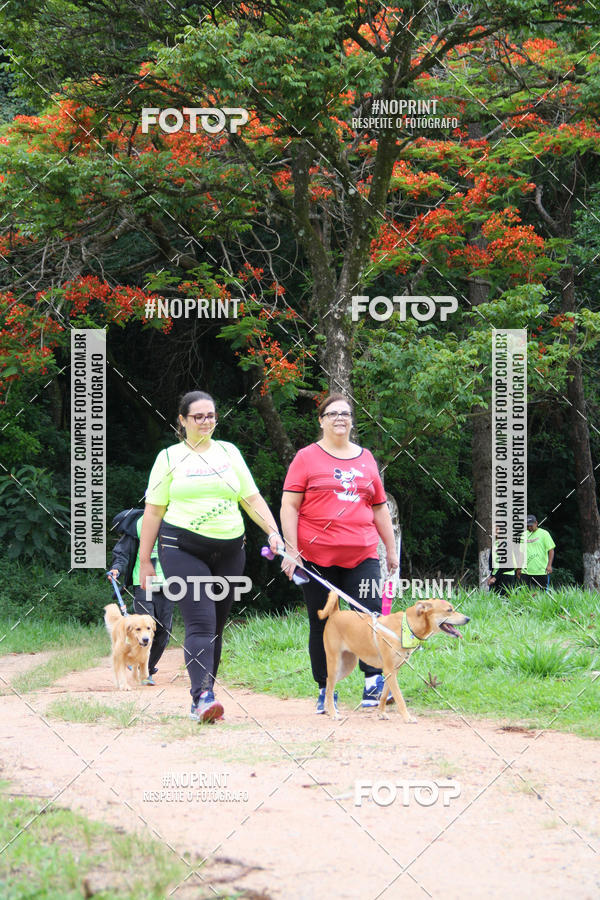 Buy your photos of the event2 PET RUNNER 2019 on Fotop