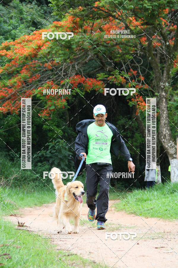 Buy your photos of the event2 PET RUNNER 2019 on Fotop