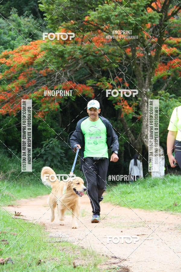 Buy your photos of the event2 PET RUNNER 2019 on Fotop