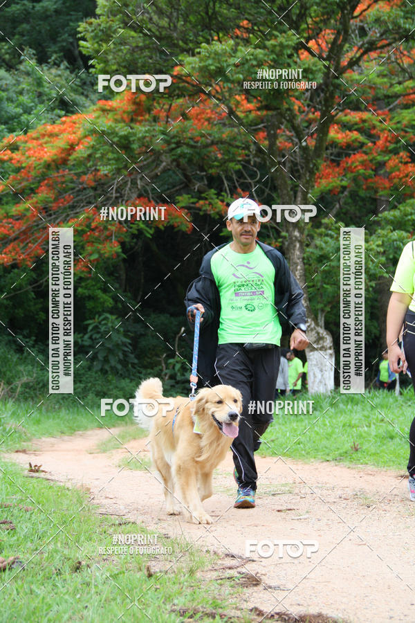 Buy your photos of the event2 PET RUNNER 2019 on Fotop