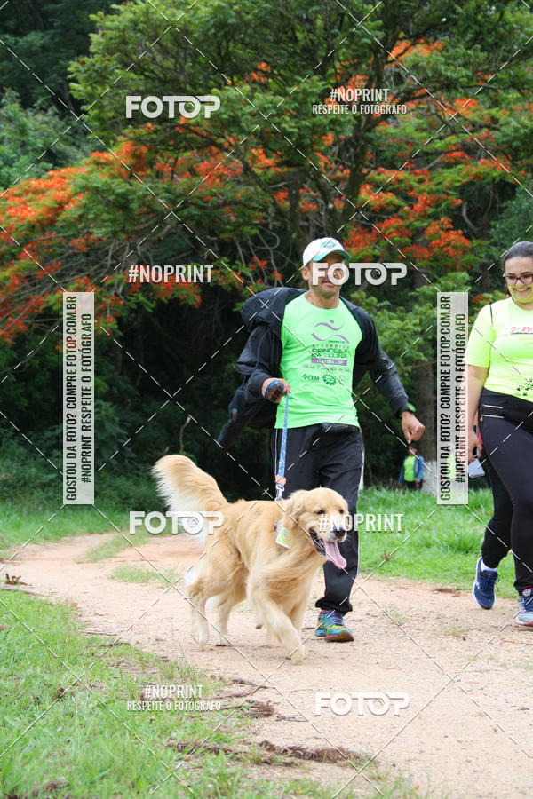 Buy your photos of the event2 PET RUNNER 2019 on Fotop