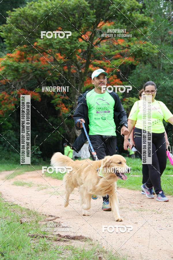 Buy your photos of the event2 PET RUNNER 2019 on Fotop