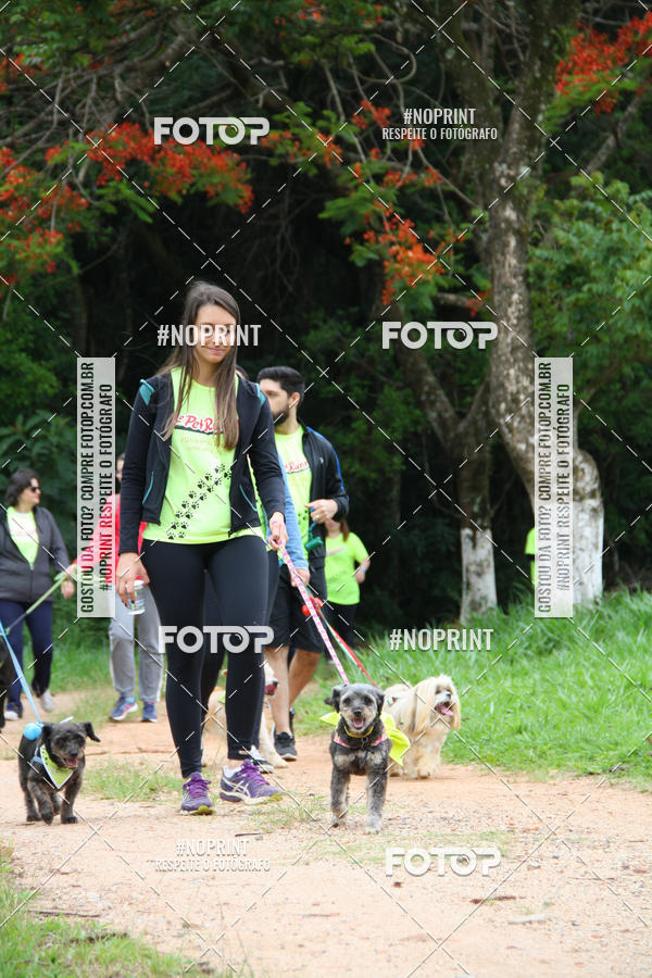 Buy your photos of the event2 PET RUNNER 2019 on Fotop