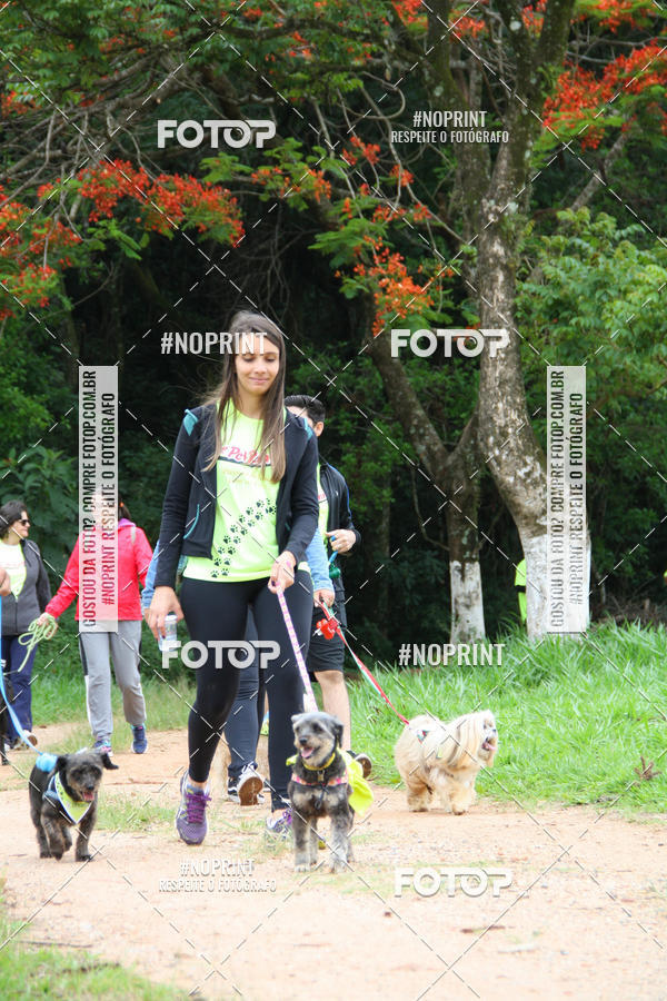 Buy your photos of the event2 PET RUNNER 2019 on Fotop