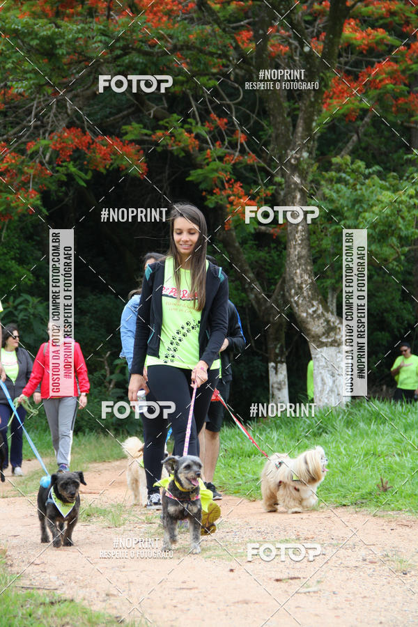 Buy your photos of the event2 PET RUNNER 2019 on Fotop