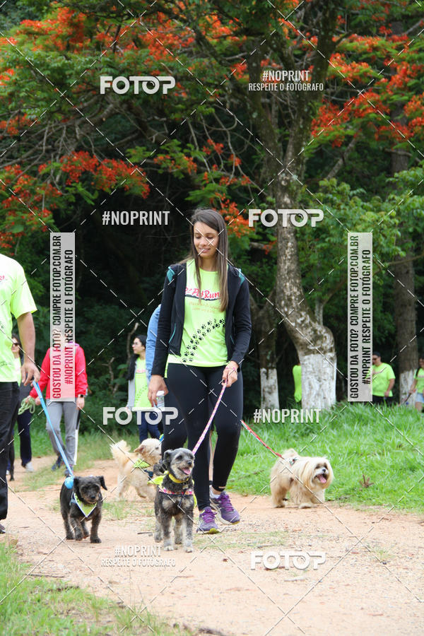 Buy your photos of the event2 PET RUNNER 2019 on Fotop