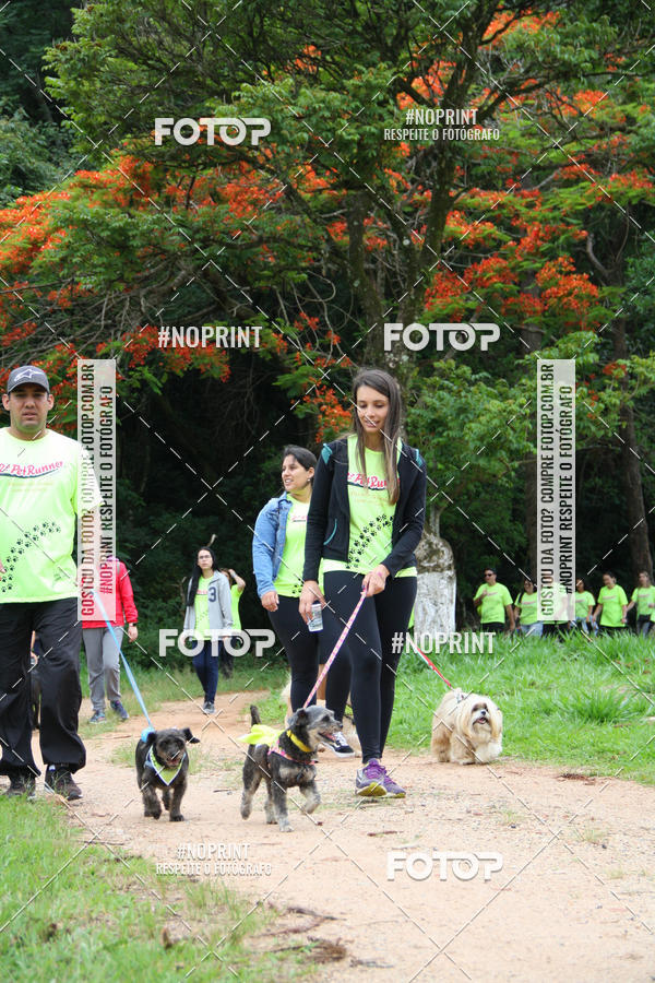 Buy your photos of the event2 PET RUNNER 2019 on Fotop