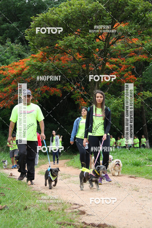 Buy your photos of the event2 PET RUNNER 2019 on Fotop