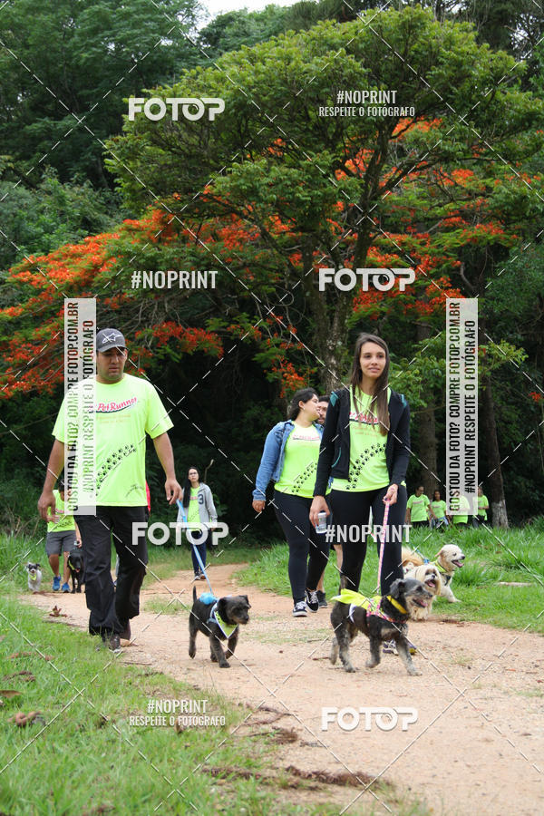 Buy your photos of the event2 PET RUNNER 2019 on Fotop