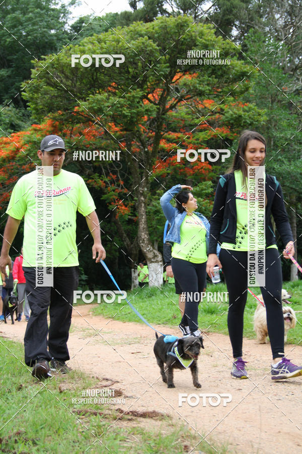 Buy your photos of the event2 PET RUNNER 2019 on Fotop