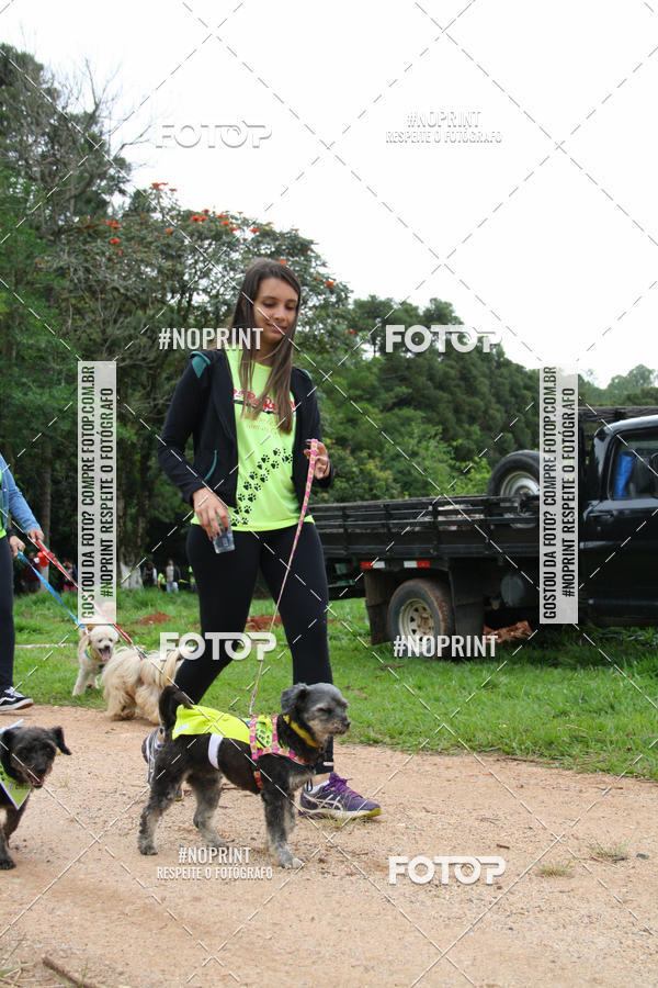 Buy your photos of the event2 PET RUNNER 2019 on Fotop